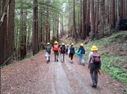 Forestry Challenge 2019