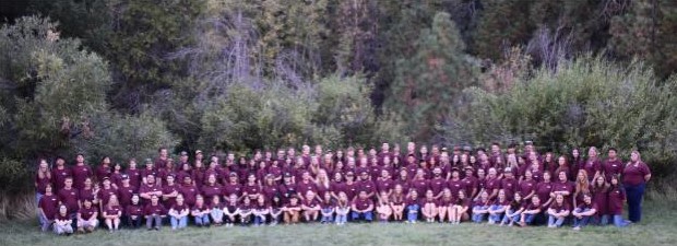 Forestry Challenge 2019